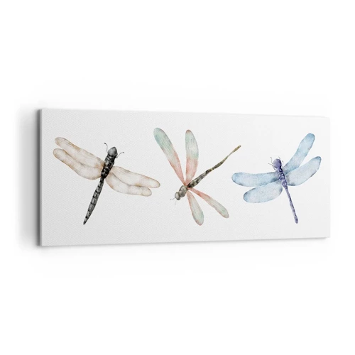 Canvas picture - Lightness of Dragonflies  - 100x40 cm