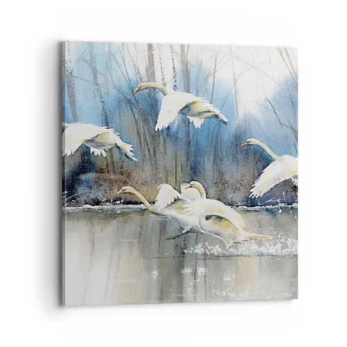 Canvas picture - Like in a Fairy Tale about Wild Swans - 70x70 cm