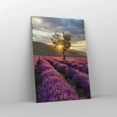 Canvas picture - Lilac Coloured Aroma - 70x100 cm