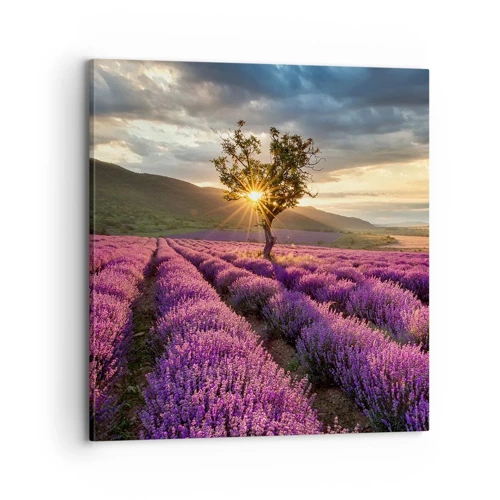 Canvas picture - Lilac Coloured Aroma - 70x70 cm