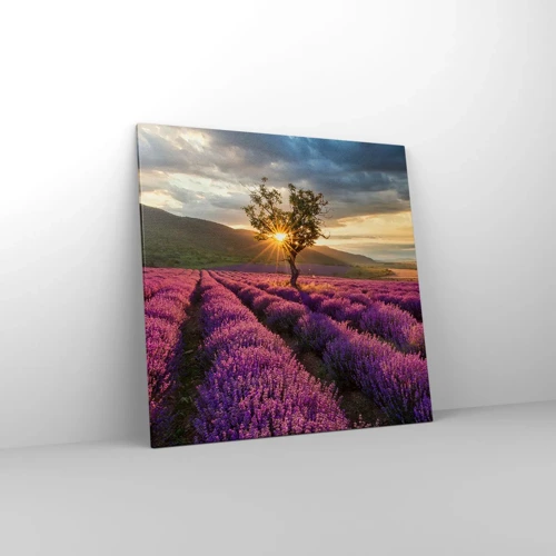 Canvas picture - Lilac Coloured Aroma - 70x70 cm