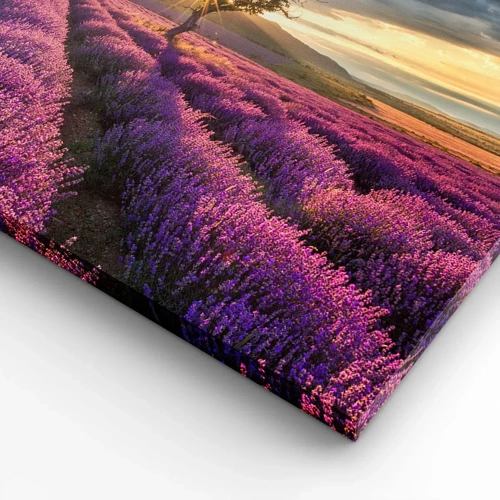 Canvas picture - Lilac Coloured Aroma - 90x30 cm
