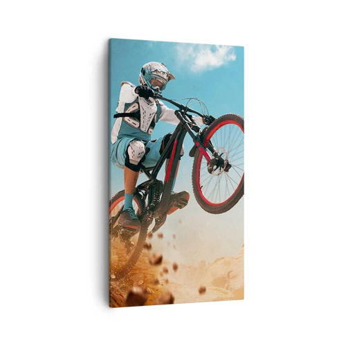 Canvas picture - Madness on Wheels - 45x80 cm