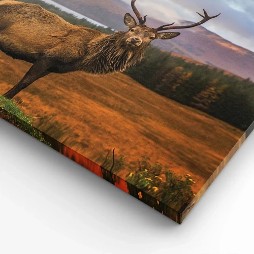 Canvas picture - Majesty of Nature - 45x80 cm