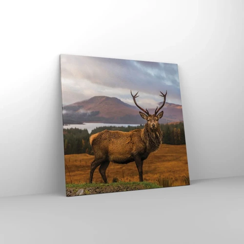 Canvas picture - Majesty of Nature - 70x70 cm