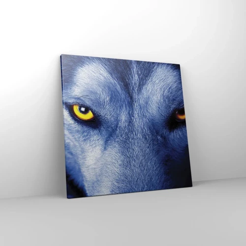 Canvas picture - Mesmerising Look - 50x50 cm