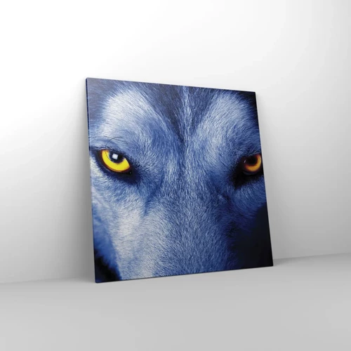 Canvas picture - Mesmerising Look - 70x70 cm