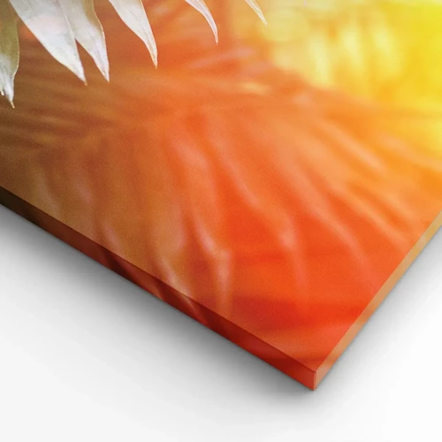Canvas picture - Morning in the Jungle - 120x50 cm