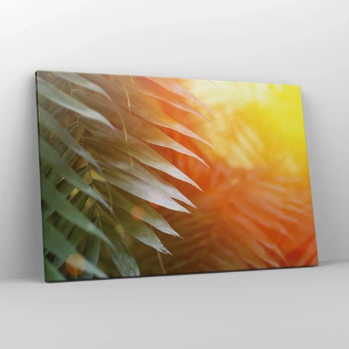 Canvas picture - Morning in the Jungle - 120x80 cm