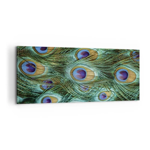 Canvas picture - Peacock Eyes - 100x40 cm