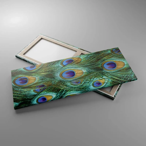 Canvas picture - Peacock Eyes - 100x40 cm