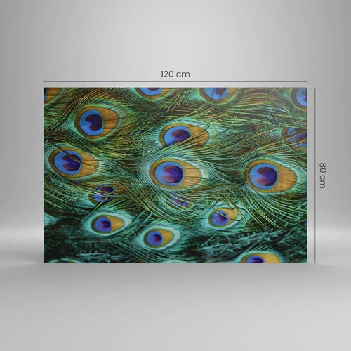 Canvas picture - Peacock Eyes - 120x80 cm