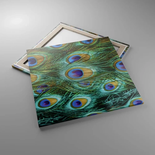 Canvas picture - Peacock Eyes - 70x70 cm