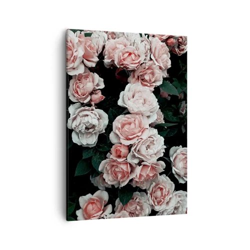 Canvas picture - Rose Ensemble - 50x70 cm