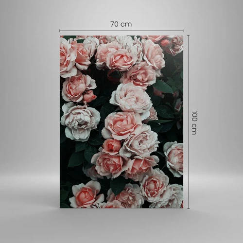 Canvas picture - Rose Ensemble - 70x100 cm