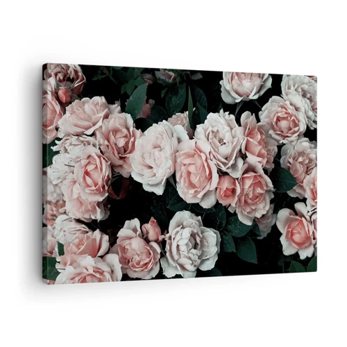 Canvas picture - Rose Ensemble - 70x50 cm