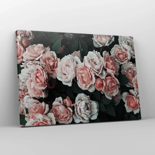 Canvas picture - Rose Ensemble - 70x50 cm