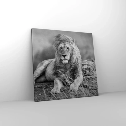 Canvas picture - Royal Siesta - 40x40 cm