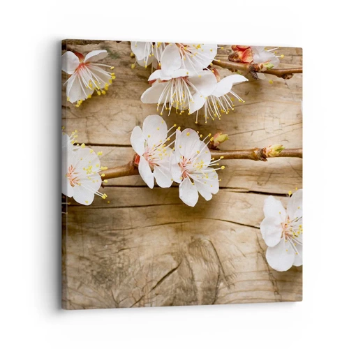 Canvas picture - Spring Has Arrived - 30x30 cm