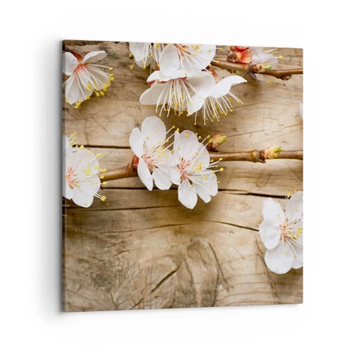 Canvas picture - Spring Has Arrived - 50x50 cm