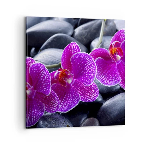 Canvas picture - Stones Shining with Awe - 60x60 cm