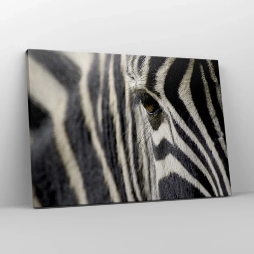 Canvas picture - Striped Portrait - 70x50 cm