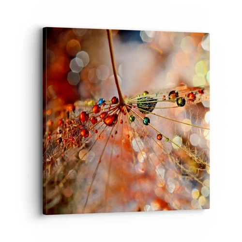 Canvas picture - Strung on a Spider's Web - 30x30 cm