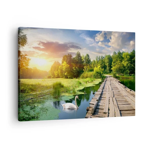 Canvas picture - Summer Everywhere - 70x50 cm