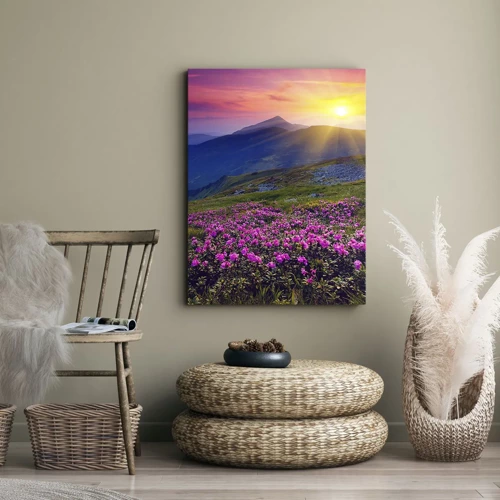 Canvas picture - Surrounded by Mountain Pine and Herbs - 50x70 cm