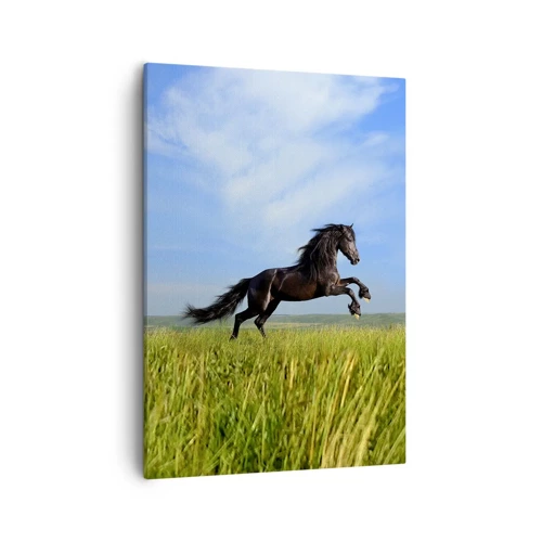 Canvas picture - Thrilling Manifesto of Freedom - 50x70 cm