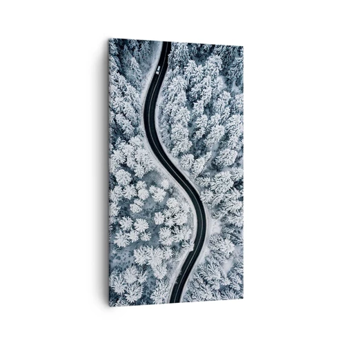 Canvas picture - Through Wintery Forest - 45x80 cm
