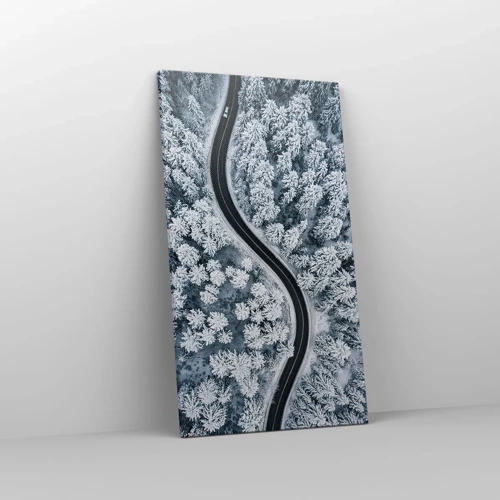 Canvas picture - Through Wintery Forest - 45x80 cm