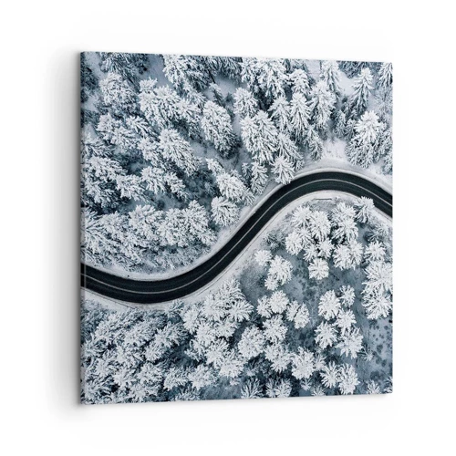 Canvas picture - Through Wintery Forest - 50x50 cm