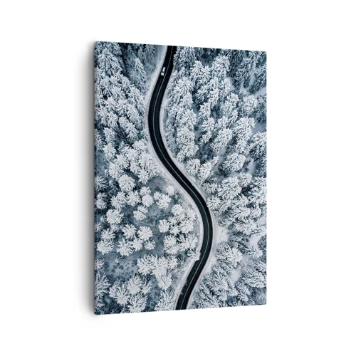 Canvas picture - Through Wintery Forest - 50x70 cm
