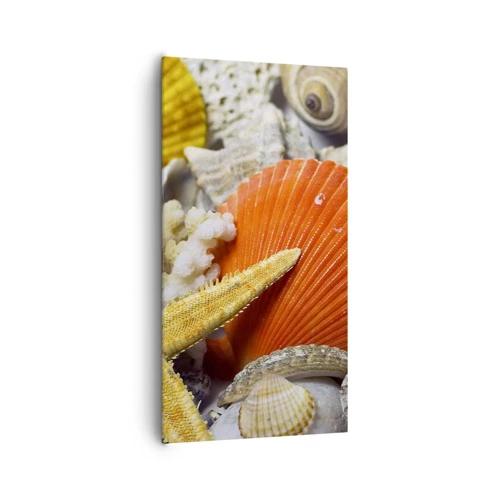 Canvas picture - Treasures of the Ocean - 65x120 cm