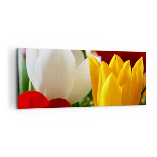 Canvas picture - Tulip Fever - 100x40 cm