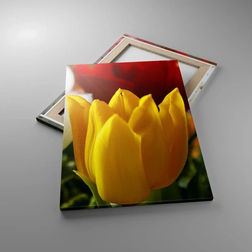 Canvas picture - Tulip Fever - 50x70 cm