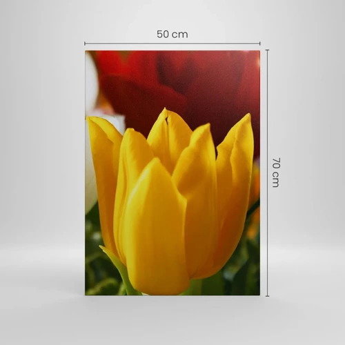 Canvas picture - Tulip Fever - 50x70 cm