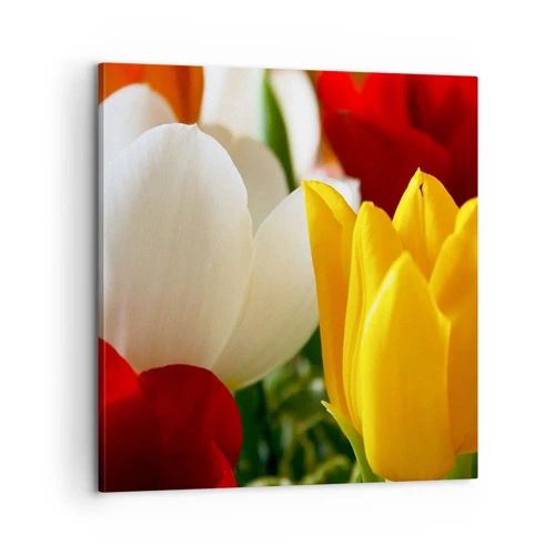 Canvas picture - Tulip Fever - 60x60 cm