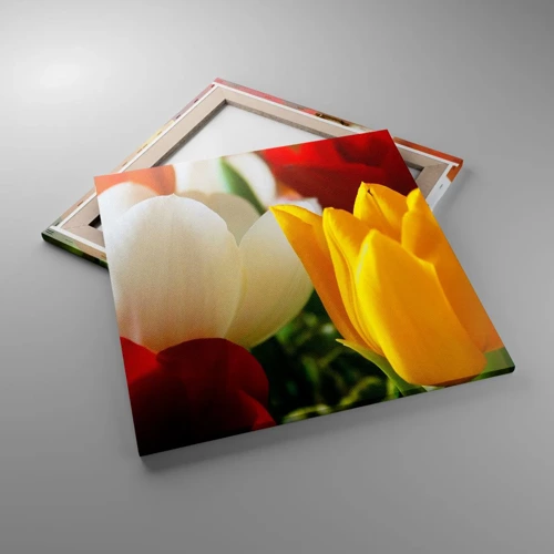 Canvas picture - Tulip Fever - 60x60 cm