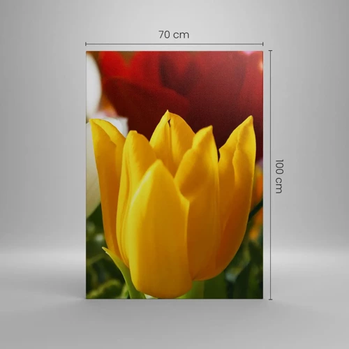 Canvas picture - Tulip Fever - 70x100 cm