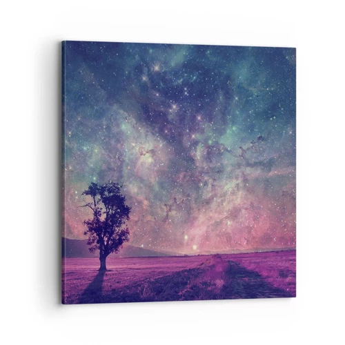 Canvas picture - Under Magical Sky - 70x70 cm