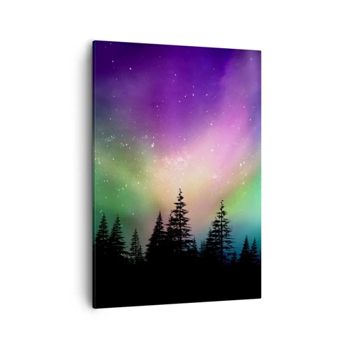 Canvas picture - White Magic - 50x70 cm