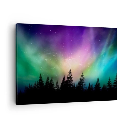 Canvas picture - White Magic - 70x50 cm