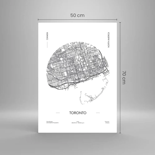 Glass picture - Anatomy of Toronto - 50x70 cm