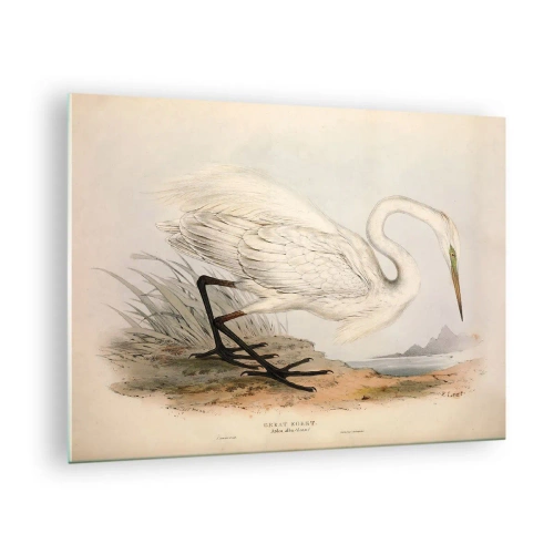 Glass picture Arttor 70x50 cm - Lady on the Marsh - Bird, White Heron, Art, Painting, Graphics, For living-room, For bedroom, White, Orange, Horizontal, Glass, GAA70x50-4979