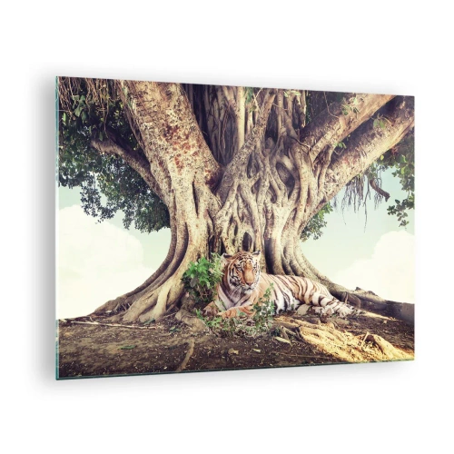 Glass picture Arttor 70x50 cm - View from the Genesis - Bengal Tiger, India, Landscape, Nature, Tree, For living-room, For bedroom, White, Brown, Horizontal, Glass, GAA70x50-5124