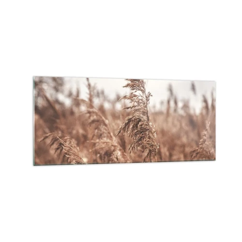 Glass picture - Autumn Has Arrived in the Fields - 120x50 cm