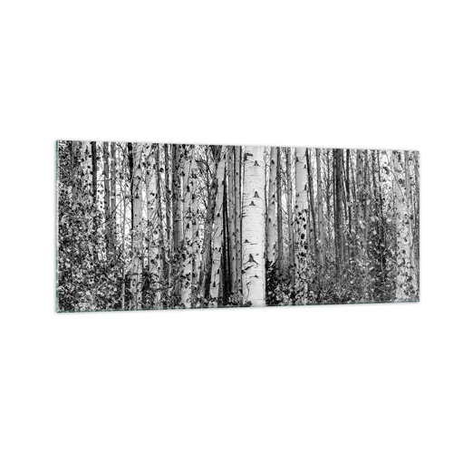 Glass picture - Birch Colonnade - 100x40 cm