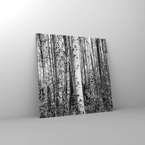 Glass picture - Birch Colonnade - 30x30 cm